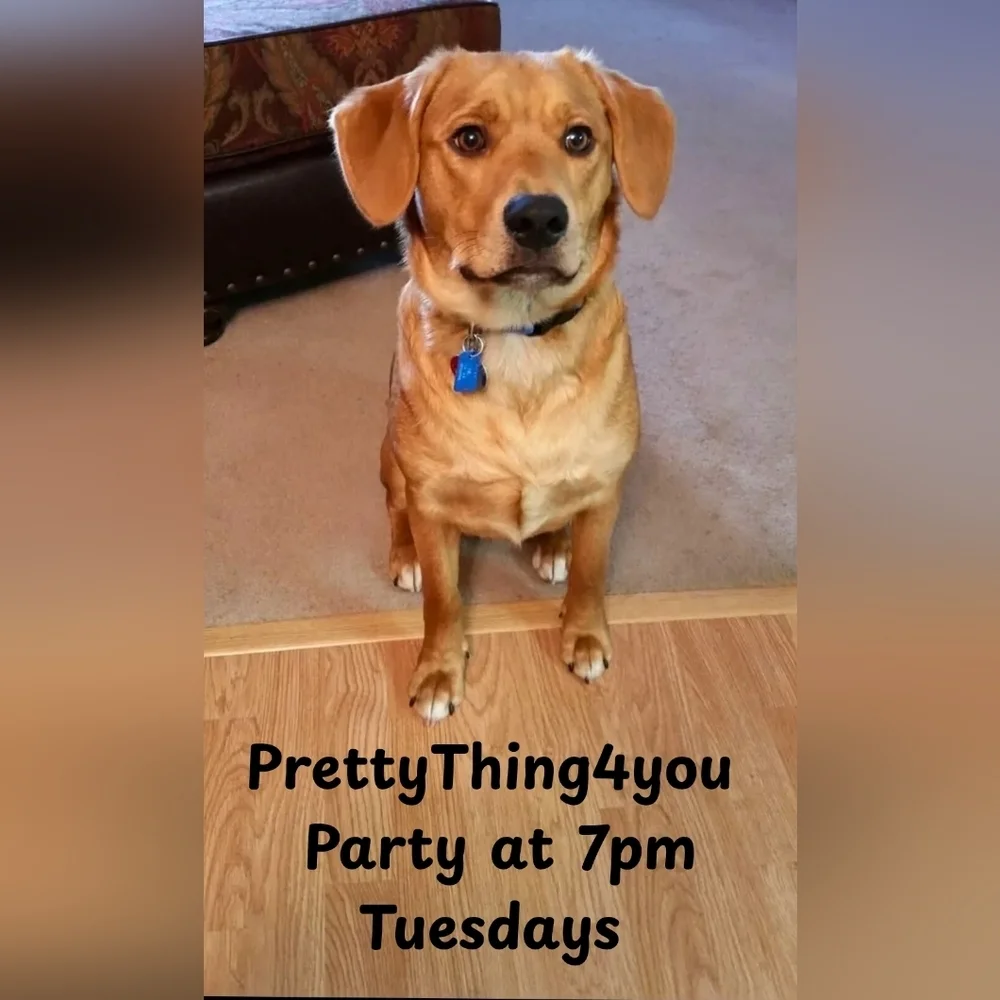 PrettyThingnpep Is Having A Live Jewelry Variety Show!! - Picture 5 of 5